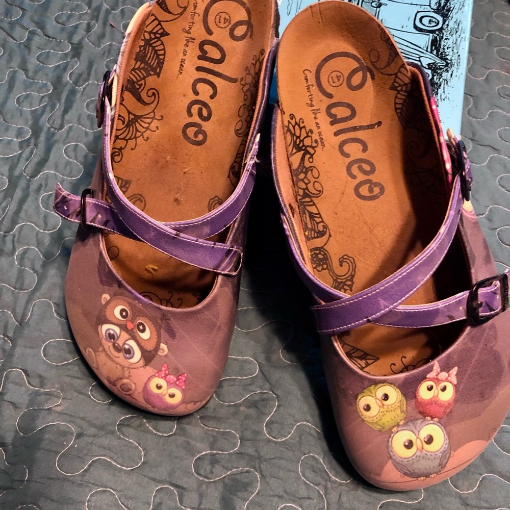 Calceo Purple Owl Shoes 10